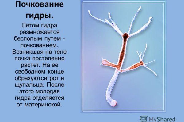 Кракен упал